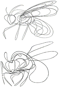 Собака и лисица - doc2fb_image_0300001a.png