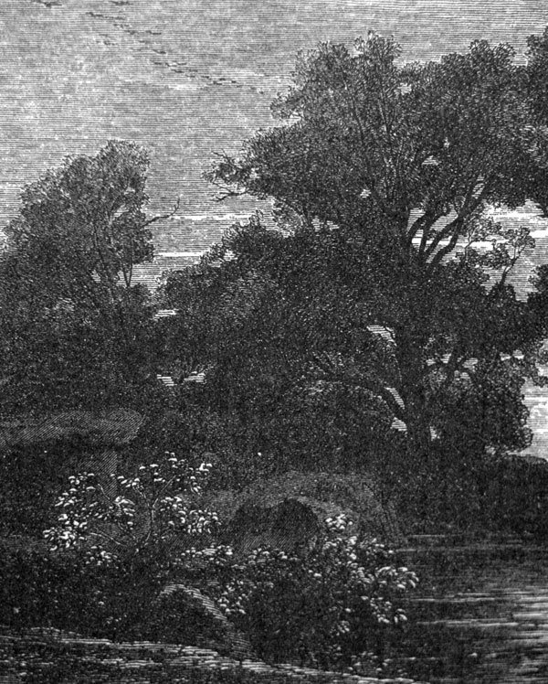 Тайны "Бесстрашного" - i_007.jpg