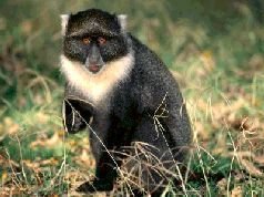 Искушай меня в сумерках (новый перевод) - pic_6.jpg