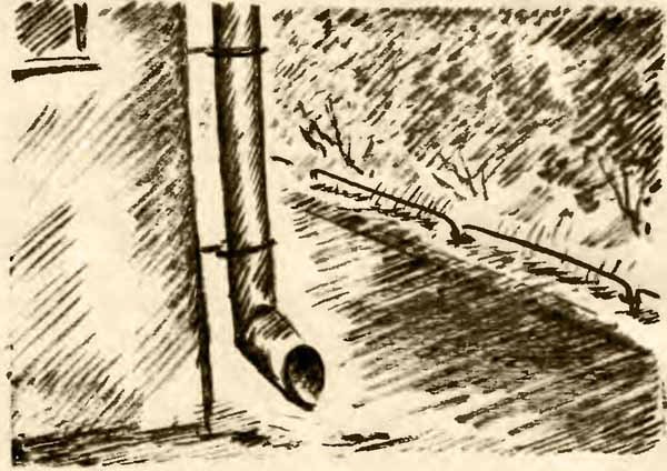 Приключения октябрёнка Васи Сомова в прошлом - i_004.jpg