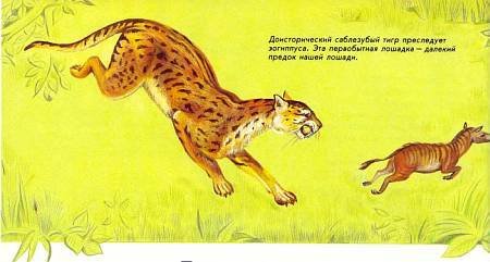 Лошади - _03.jpg