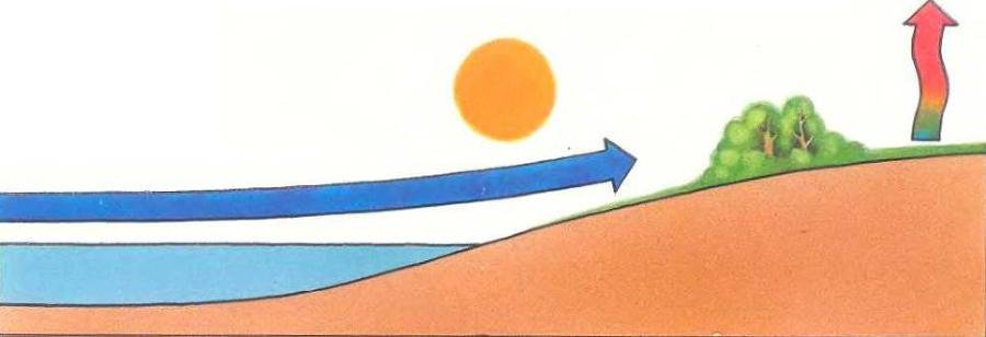 Погода - _20.JPG