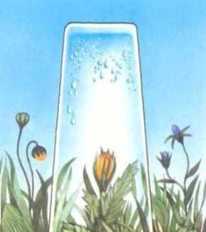 Погода - _25.JPG