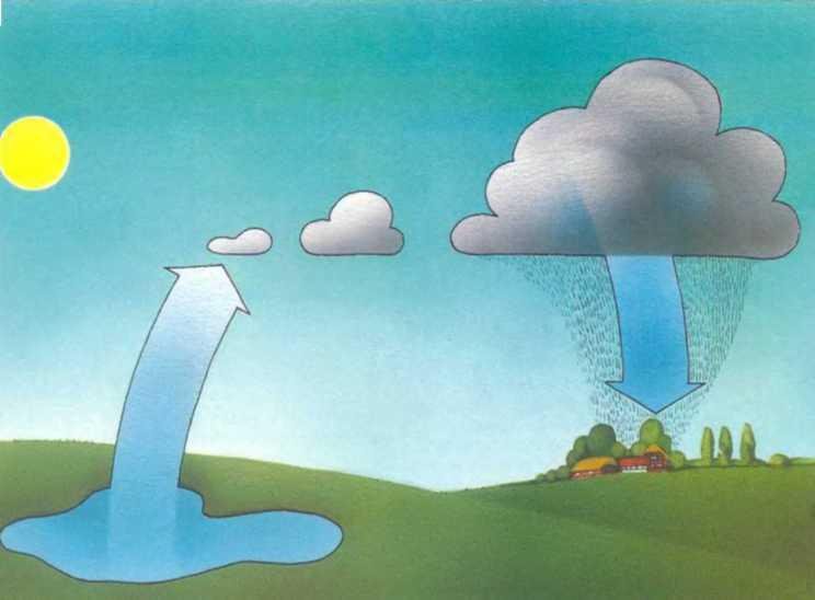 Погода - _26.JPG