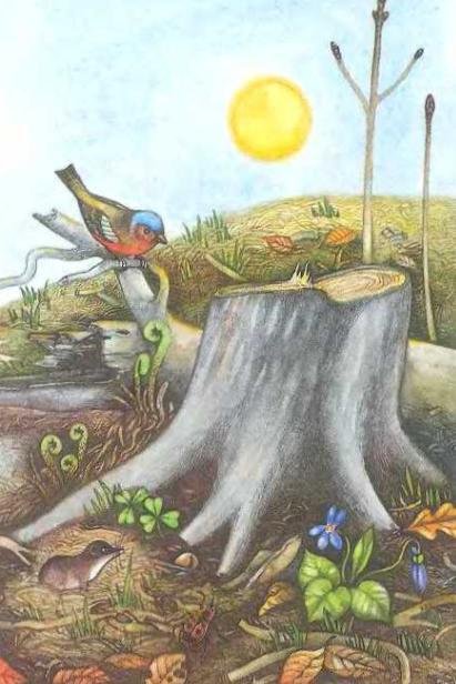 Погода - _3.JPG