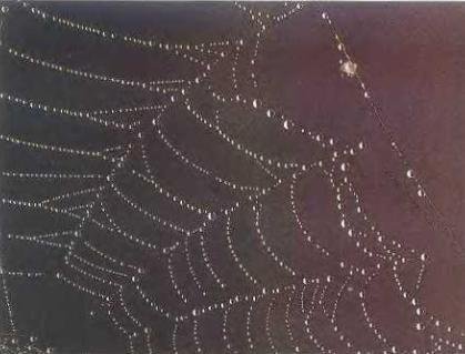 Погода - _30.JPG