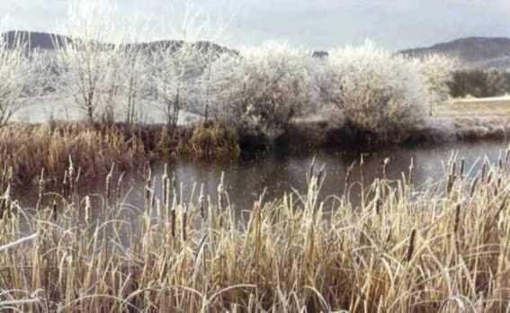 Погода - _31.JPG