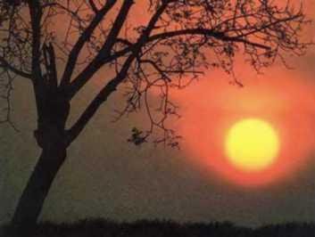 Погода - _41.JPG