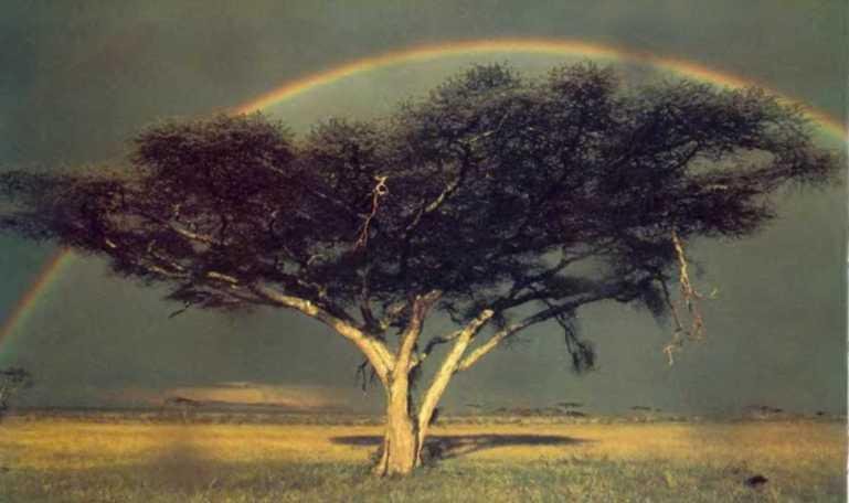 Погода - _43.JPG