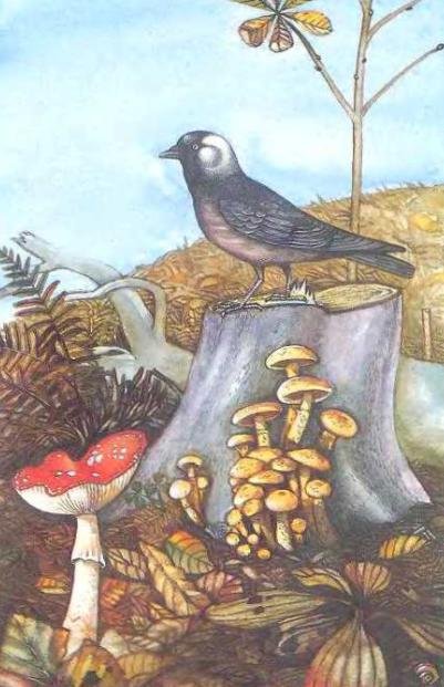 Погода - _5.JPG