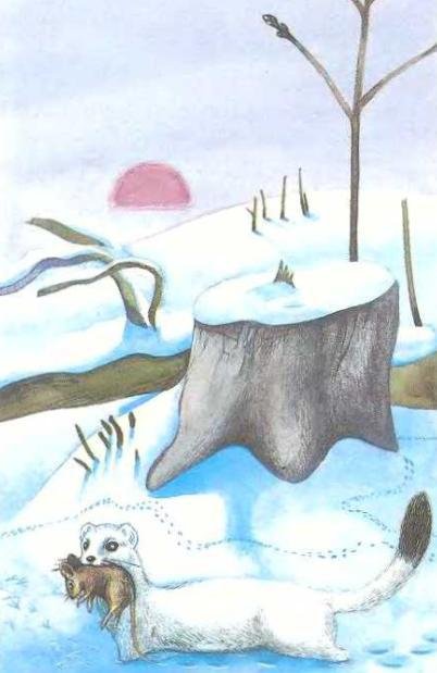 Погода - _6.JPG