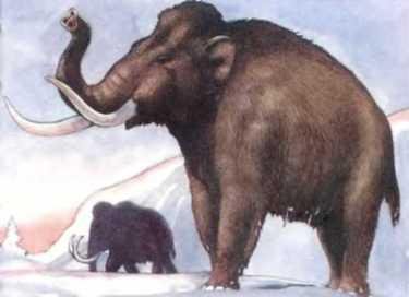 Погода - _75.JPG