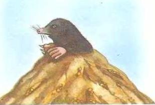 Погода - _77.JPG