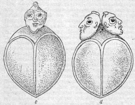 Искусство острова Пасхи - i_009.jpg
