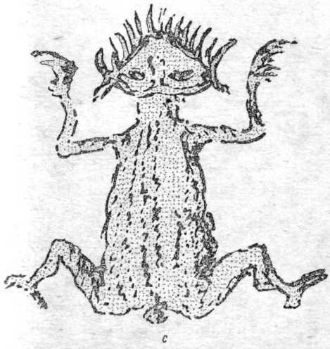 Искусство острова Пасхи - i_014.jpg