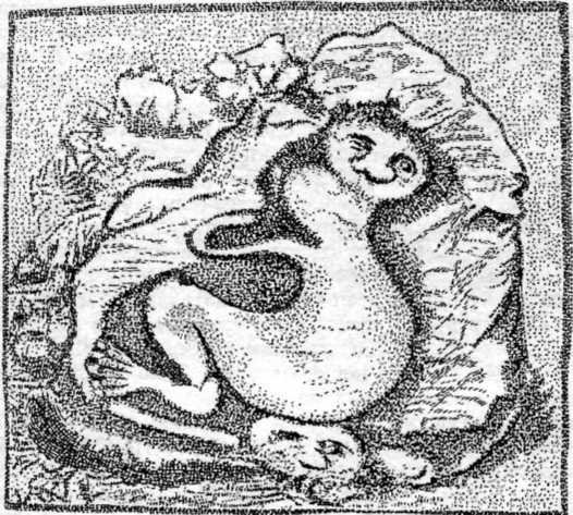 Искусство острова Пасхи - i_024.jpg