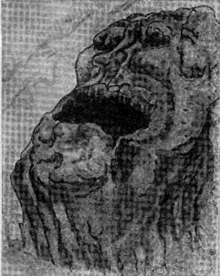 Искусство острова Пасхи - i_030.jpg