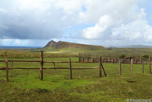 Искусство острова Пасхи - i_076.jpg