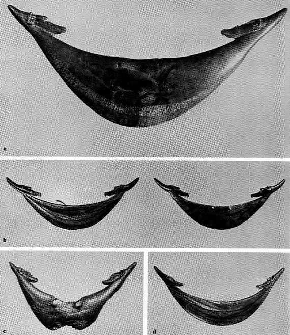 Искусство острова Пасхи - i_124.jpg