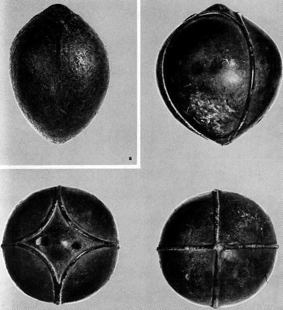 Искусство острова Пасхи - i_129.jpg