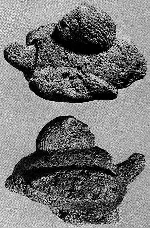 Искусство острова Пасхи - i_370.jpg