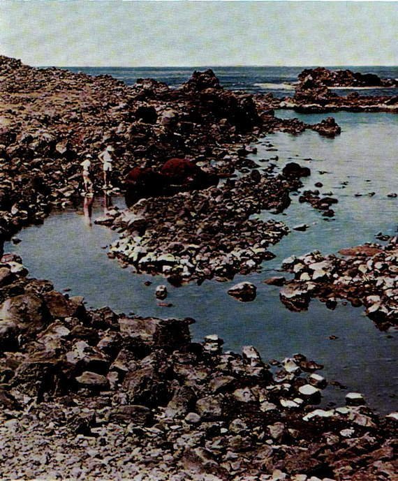 Искусство острова Пасхи - i_414.jpg