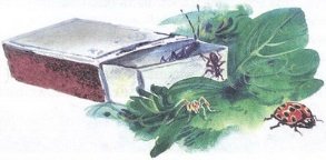 Великан на поляне или первые уроки экологической этики - _11.jpg