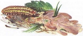 Великан на поляне или первые уроки экологической этики - _13.jpg