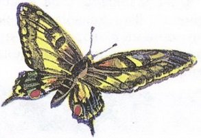 Великан на поляне или первые уроки экологической этики - _18.jpg