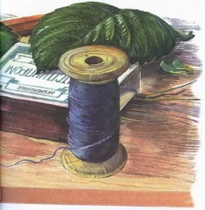 Великан на поляне или первые уроки экологической этики - _7.jpg