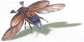 Великан на поляне или первые уроки экологической этики - _8.jpg