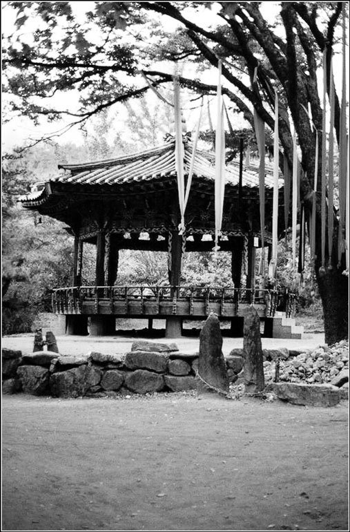 Країни свiту. Азія - pic_9.jpg