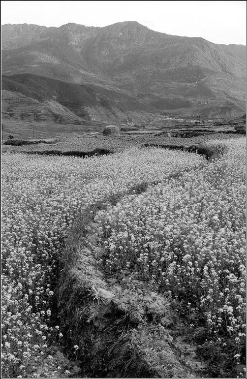 Країни свiту. Азія - pic_30.jpg