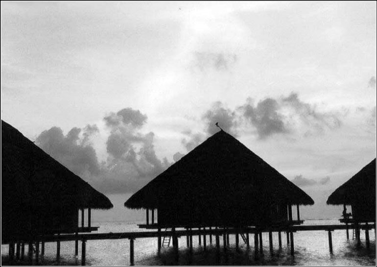 Країни свiту. Азія - pic_118.jpg