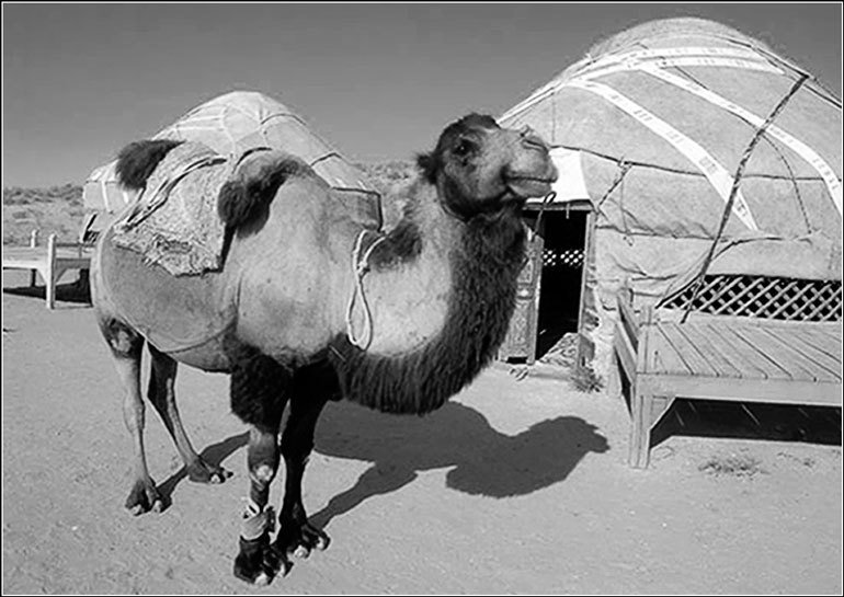 Країни свiту. Азія - pic_178.jpg