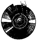 Ремонт часов - _148.jpg