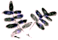 Сани-самоходы - i_031.png