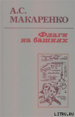 Книга Флаги на башнях