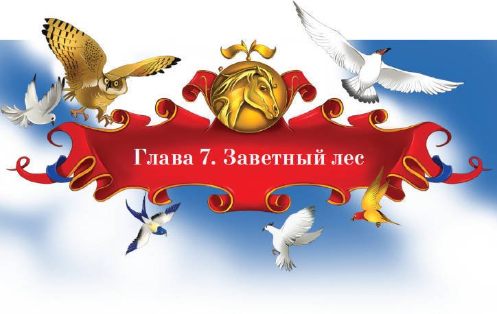 Тайна заколдованного леса - i_037.jpg