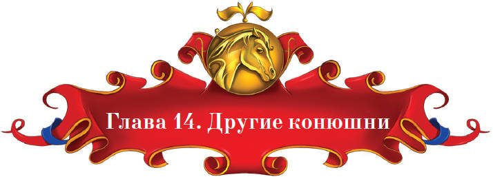 Тайна заколдованного леса - i_060.jpg