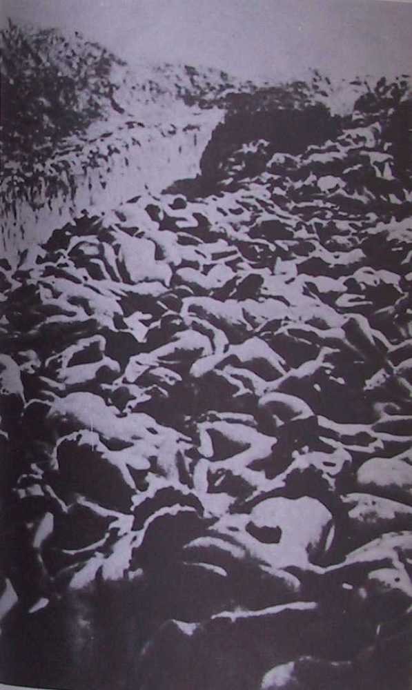 Черная книга - _21.jpg