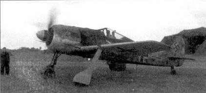 Асы люфтваффе пилоты Fw 190 на Западном фронте - pic_59.jpg