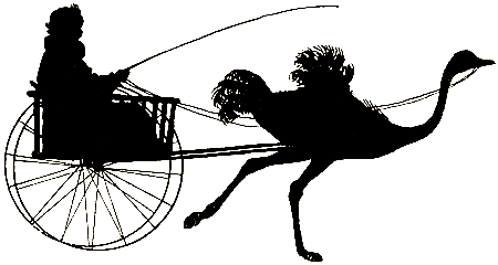 Звери дедушки Дурова - i_006.png