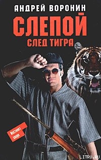 Серия книг Слепой