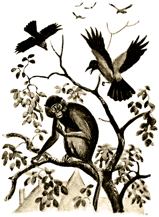 Пернатые артисты - i_006.png