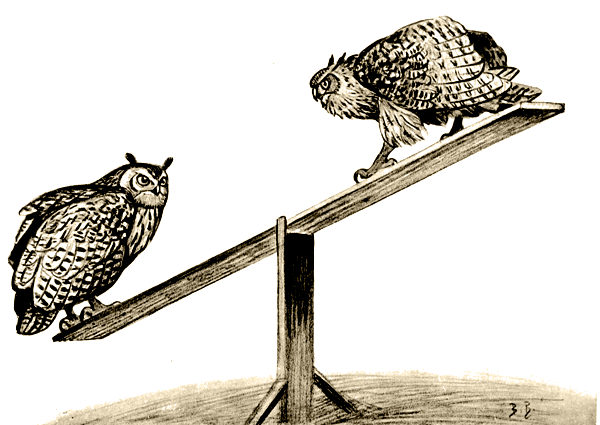 Пернатые артисты - i_007.png