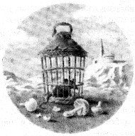 Безжалостное небо(сб.) - i_015.jpg