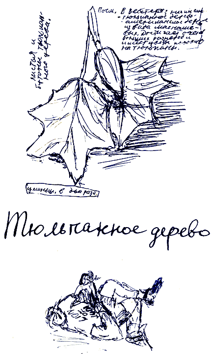 Пикник на Аппалачской тропе - i_033.png