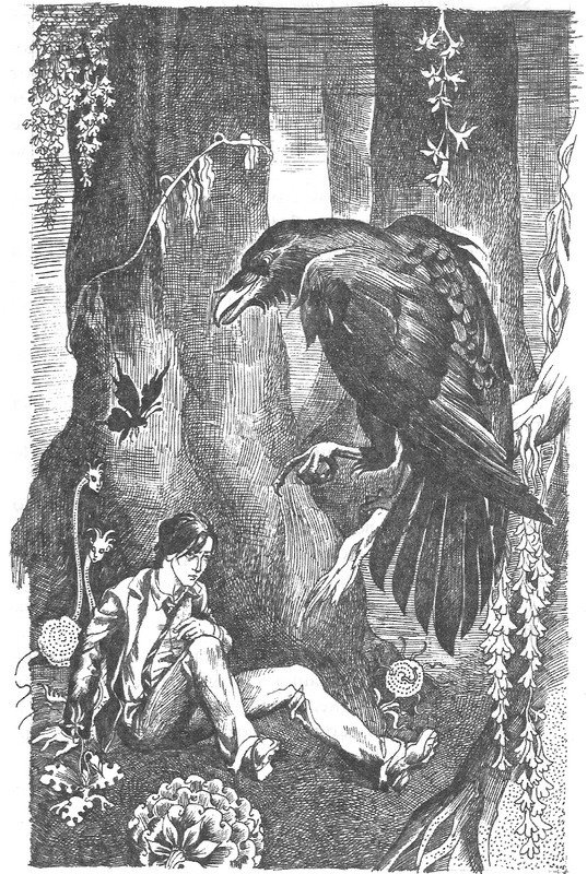 Лес потерянных - image02.jpg