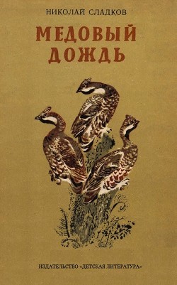Книга Медовый дождь